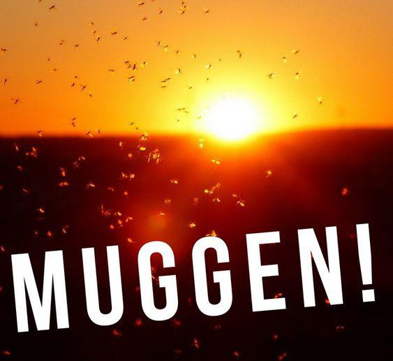 De Mug